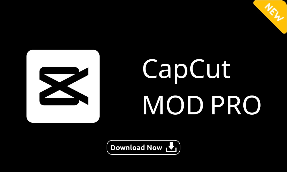 Capcut Pro app